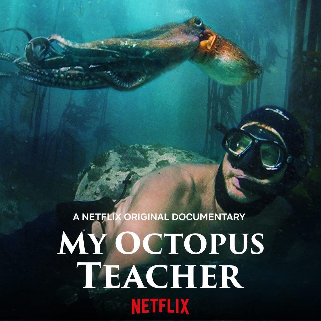 Joe Webb - My Octopus Teacher movie review